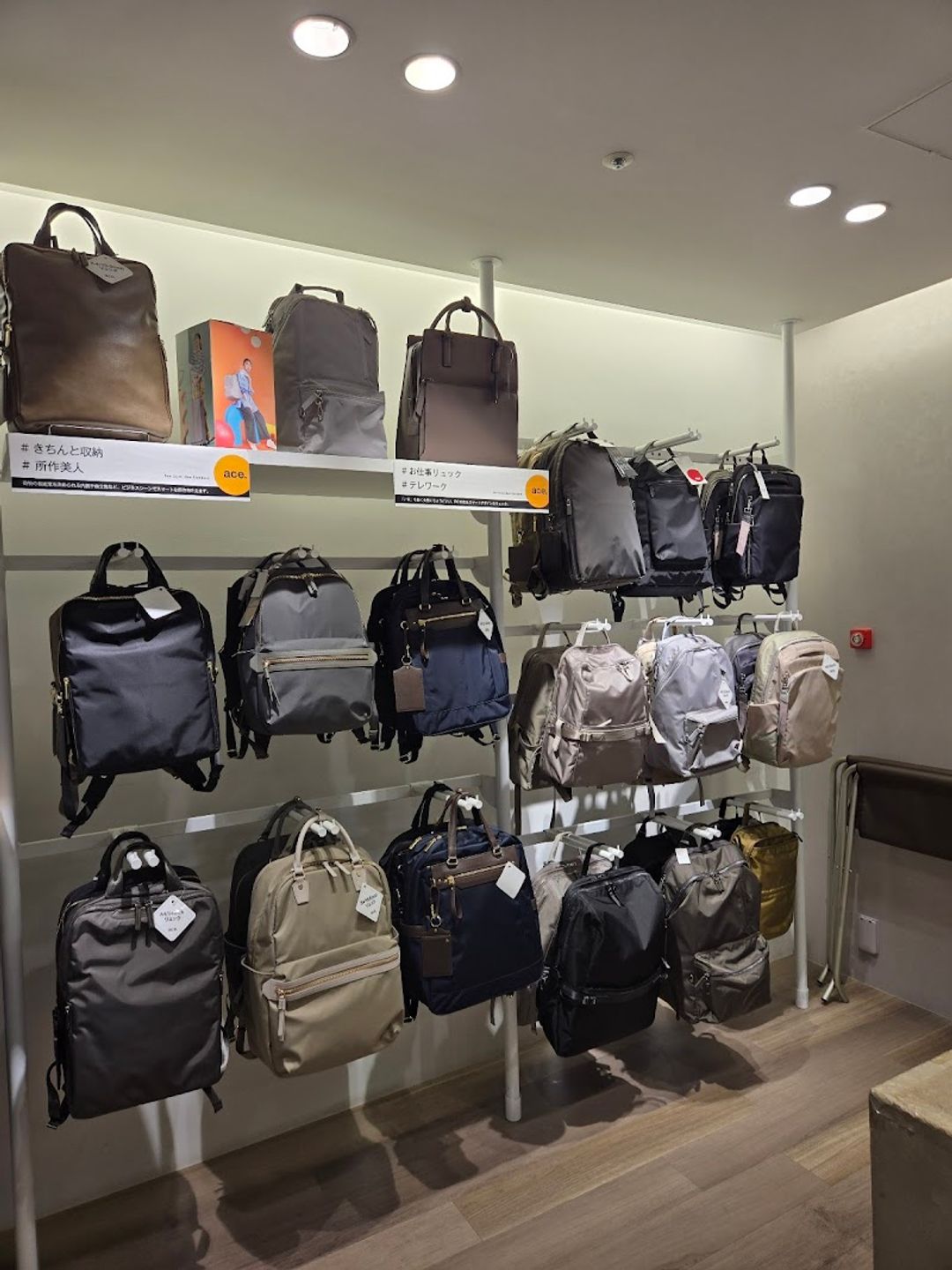 ACE Bags & Luggage Yaechika Store - Chuo City, Yaesu, 2-chōme−1