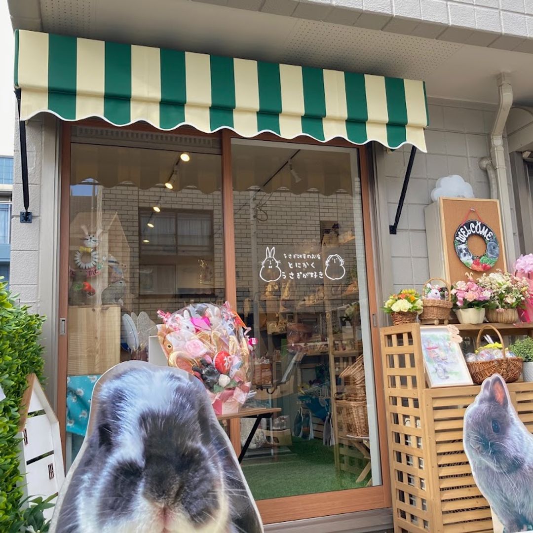 Rabbit General Store Tonikakuusagigasuki - Musashino, Kichijōji