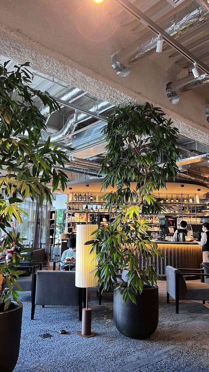 Roppongi Tsutaya Books - Minato City, Roppongi, 6-chōme−11−1