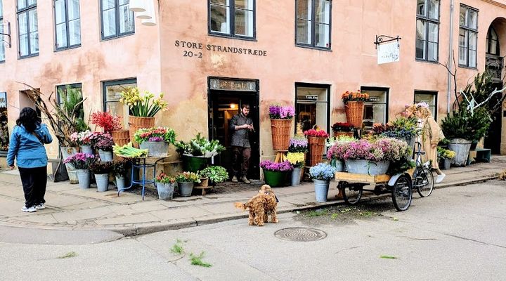 Tableau - Store Strandstræde 20, Copenhagen K | Corner