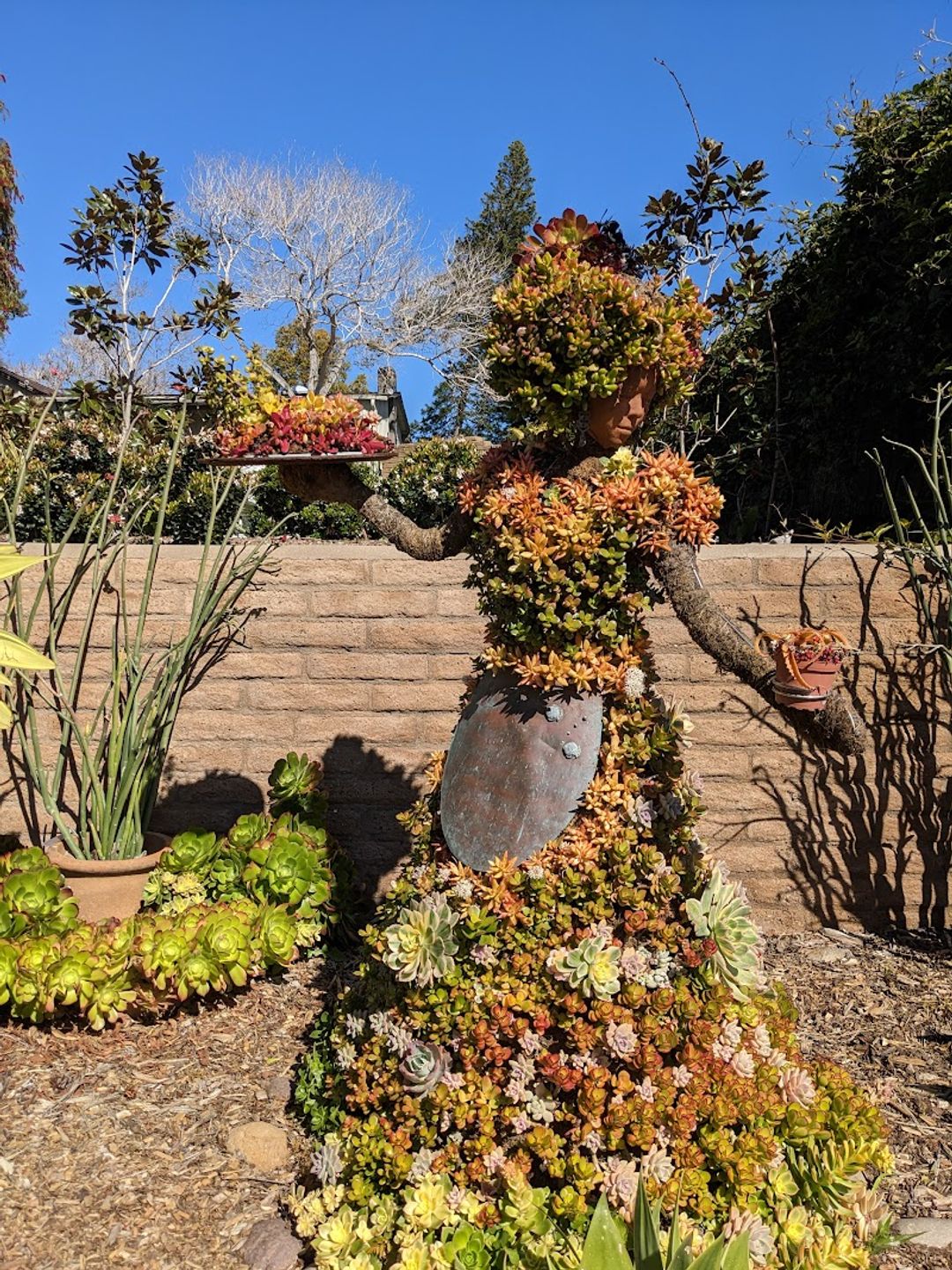 botanical garden 　　no1 San Diego Botanic Garden - 300 Quail Gardens Drive at, Ecke Ranch