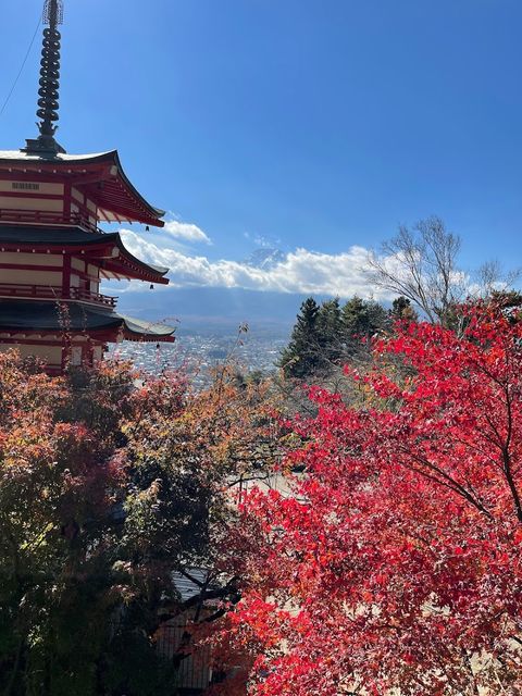 Oishi Park - 2525番地の11先 Ōishi, Fujikawaguchiko | Corner
