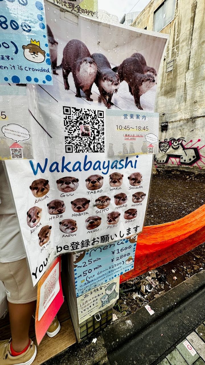 WAKABAYASHI カワウソ - 1-chōme-6-8 Jingūmae, Shibuya | Corner