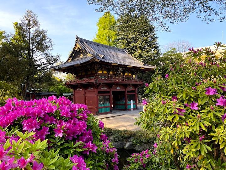 Nezu Shrine Azalea Garden - 1-chōme-28-9 Nezu, Bunkyo City | Corner