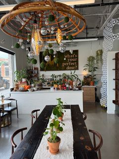 dose. detroit - 3706 4th St, Detroit | Corner