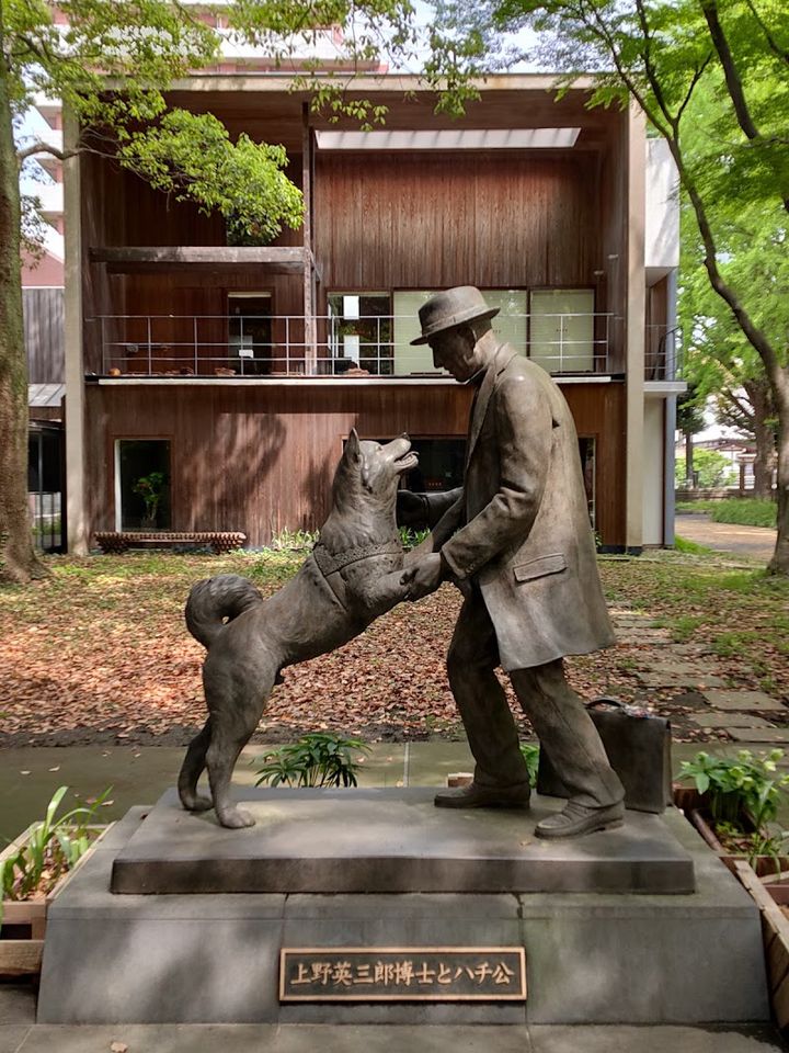 Agricultural Museum, The University of Tokyo - 1-chōme-1-1 Yayoi