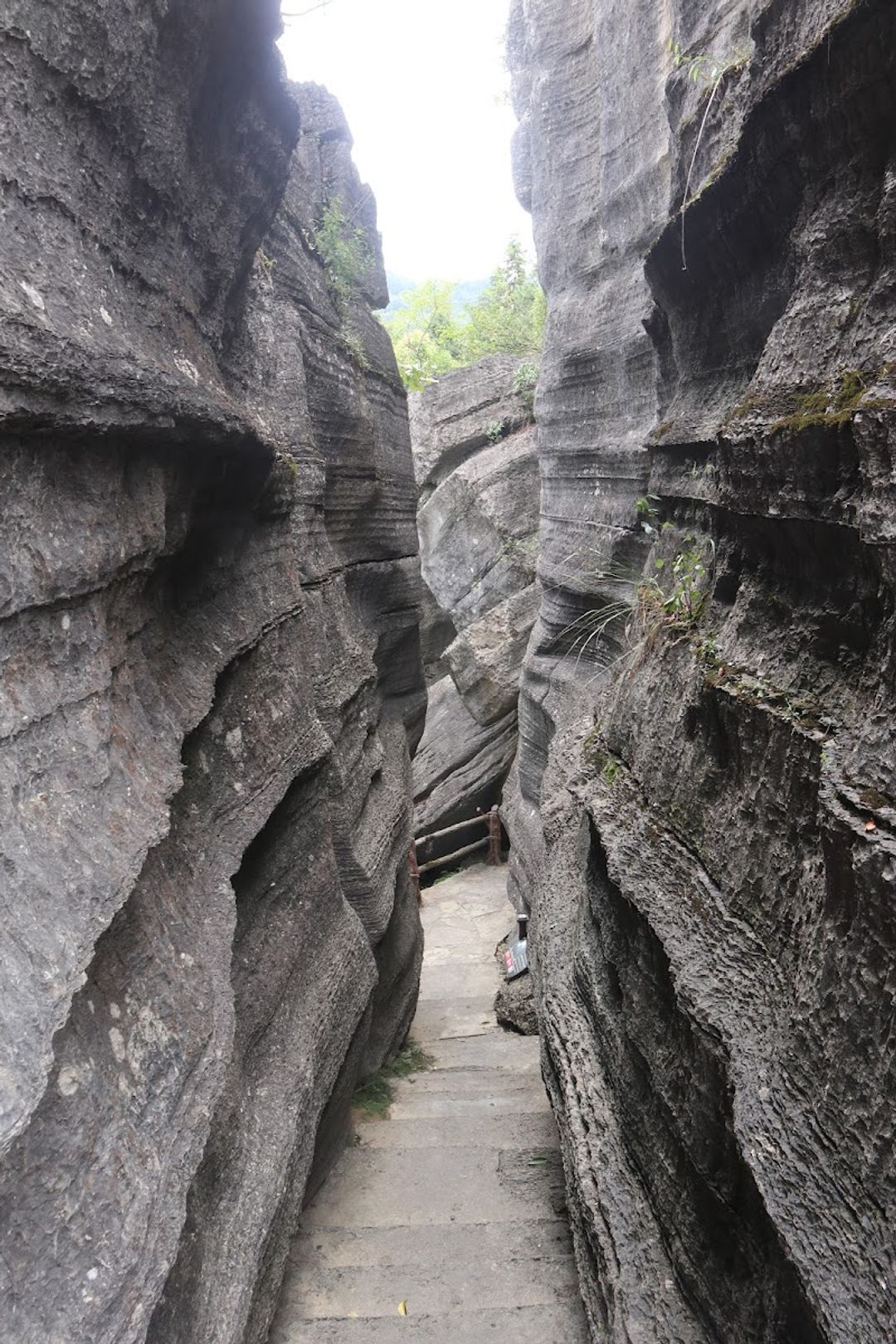 Suobuya Stone Forest Scenic Area - HH98+43G Suobuya Scenic Spot