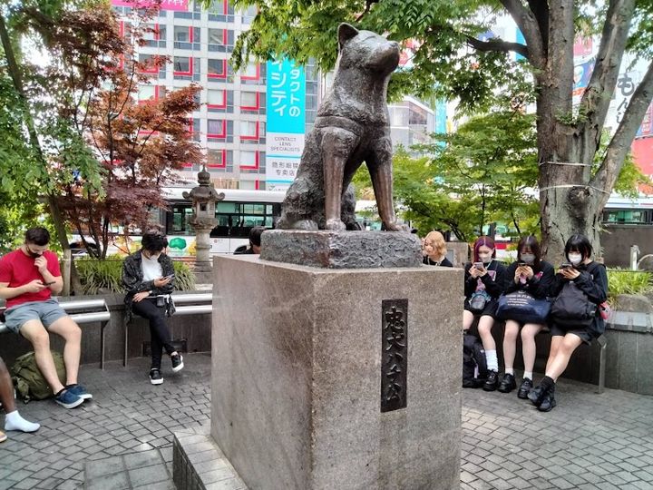 Hachiko Statue - 2-chōme-1 Dōgenzaka, Shibuya | Corner