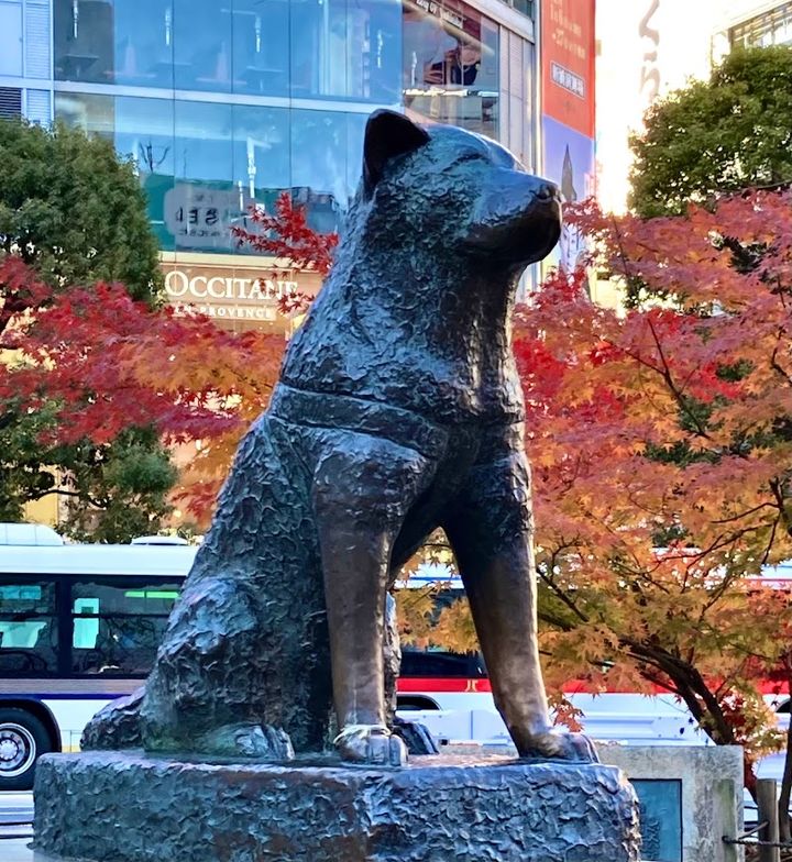 Hachiko Statue - 2-chōme-1 Dōgenzaka, Shibuya | Corner