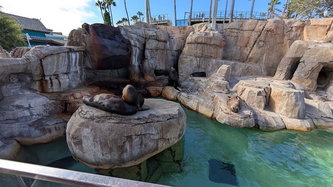 海洋楽園　オーシャンシアター Sea Lion Amphitheater - SeaWorld, San Diego | Corner