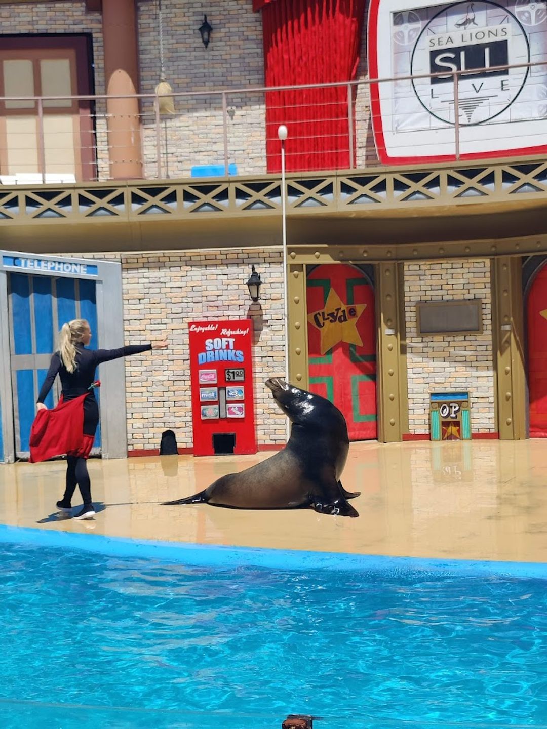 Sea Lion Amphitheater - SeaWorld, San Diego | Corner