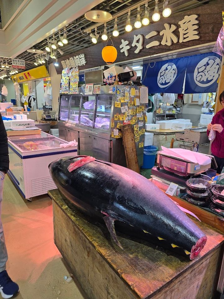 ・Fish Market・２２×２０×１５・ ・ Tokyo Kitani - Chuo City, Tsukiji, 6-chōme−26−1 小田原橋棟 | Corner