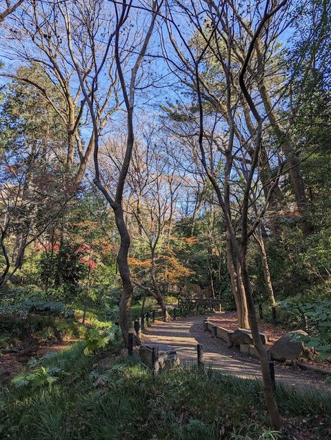 Mizumoto Park - 3-2 Mizumotokōen, Katsushika City | Corner
