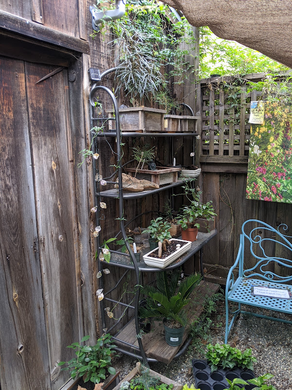 Natural Creations - 108 N Santa Cruz Ave A, Los Gatos | Corner