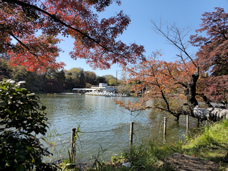 Toyosu Park - 2 Chome-3-6 Toyosu, Koto City | Corner