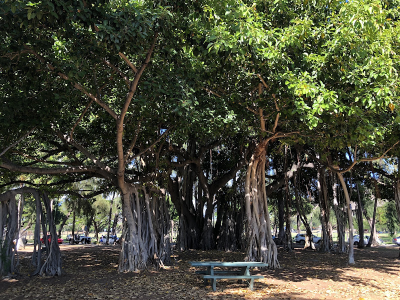 Kaimana Beach - Honolulu | Corner