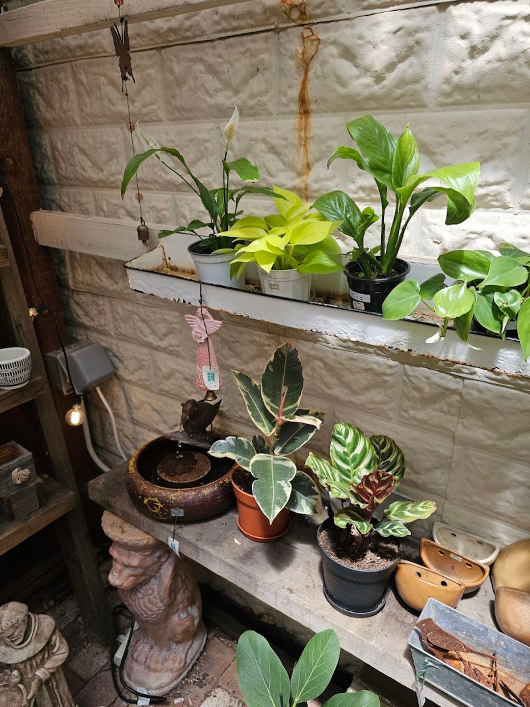 Natural Creations - 108 N Santa Cruz Ave A, Los Gatos | Corner