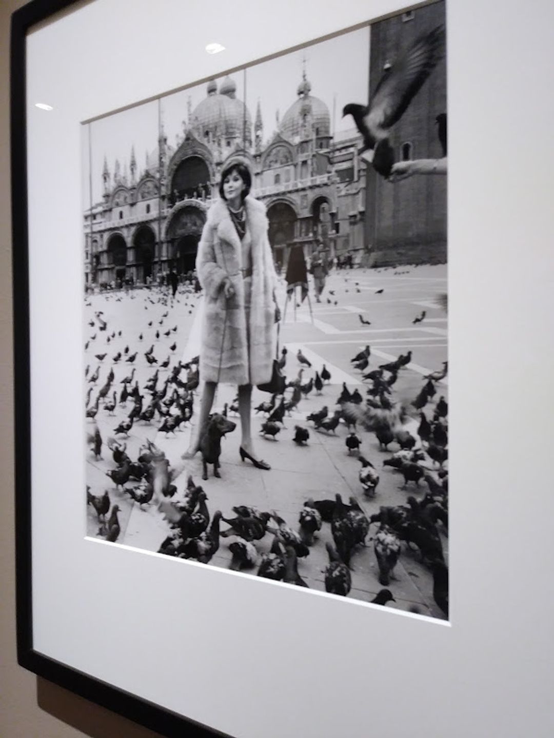 Howard Greenberg Gallery - 41 E 57th St 8th Floor, New York | Corner