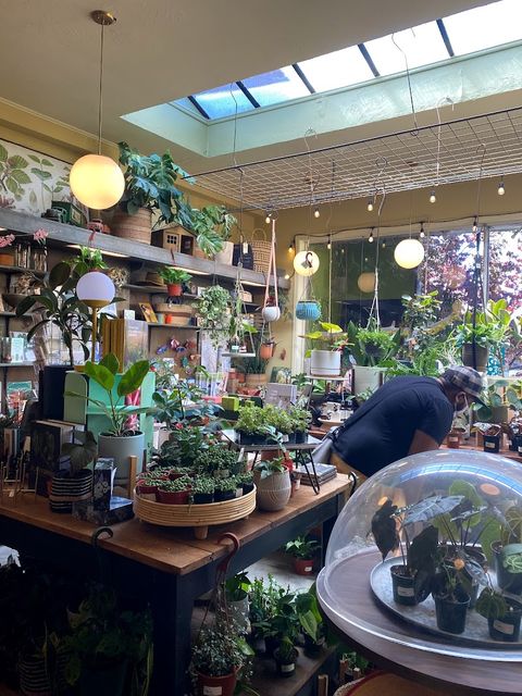 Clement Nursery - 1921 Clement St, San Francisco | Corner