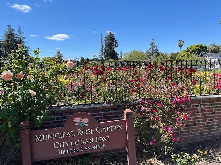 Municipal Rose Garden - 1649 Naglee Ave, San Jose | Corner