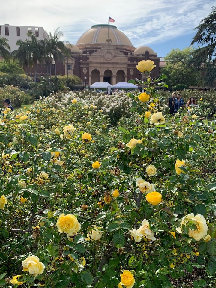 Exposition Park Rose Garden - 701 State Dr, Los Angeles | Corner