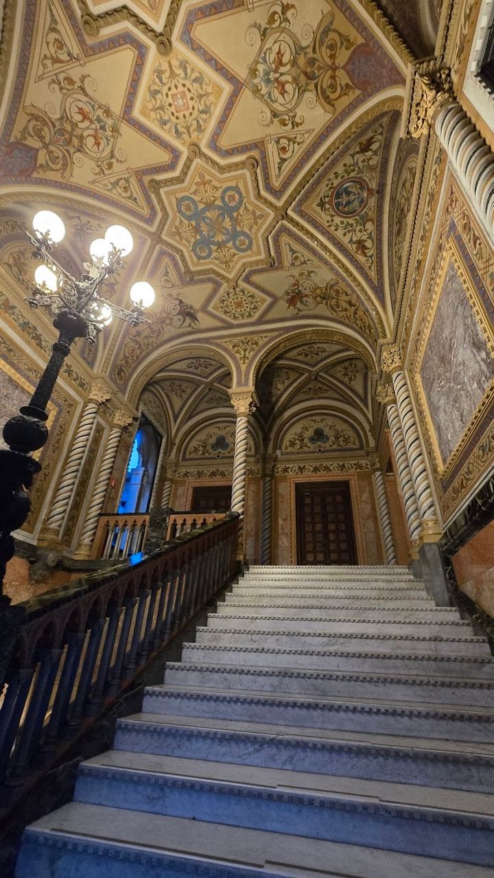 Palazzo Cavalli-Franchetti - Fondamenta Narisi, 2847, Venezia | Corner