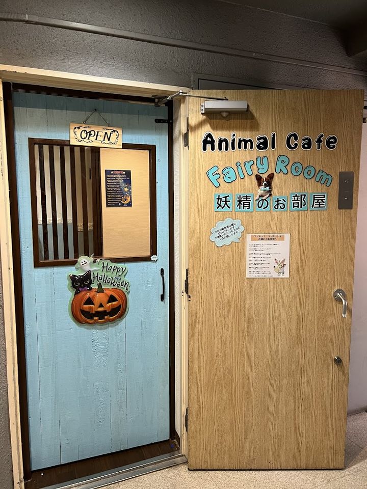 Animal Cafe Fairy Room - Osaka, Chuo Ward, Nishishinsaibashi, 2