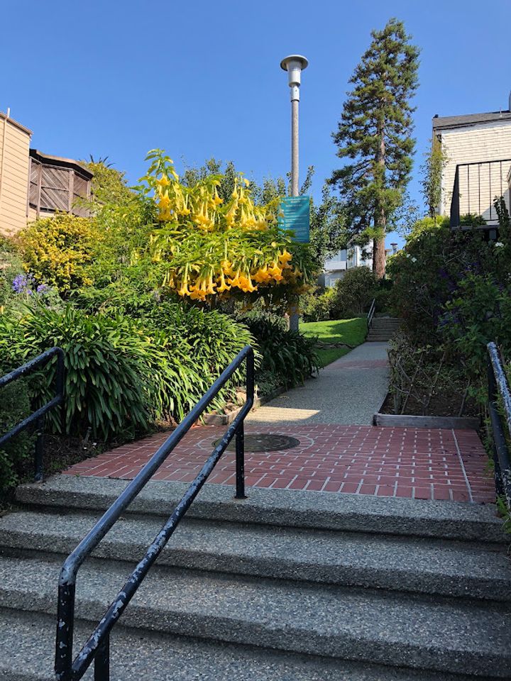 Cottage Row Mini Park - Fillmore St & Sutter St, San Francisco