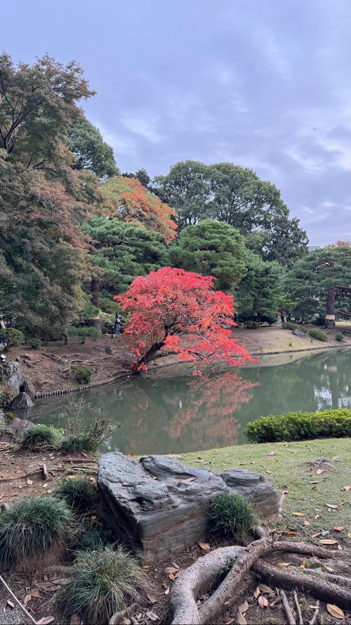 Rikugien Gardens - 6-chōme-16-3 Honkomagome, Bunkyo City | Corner