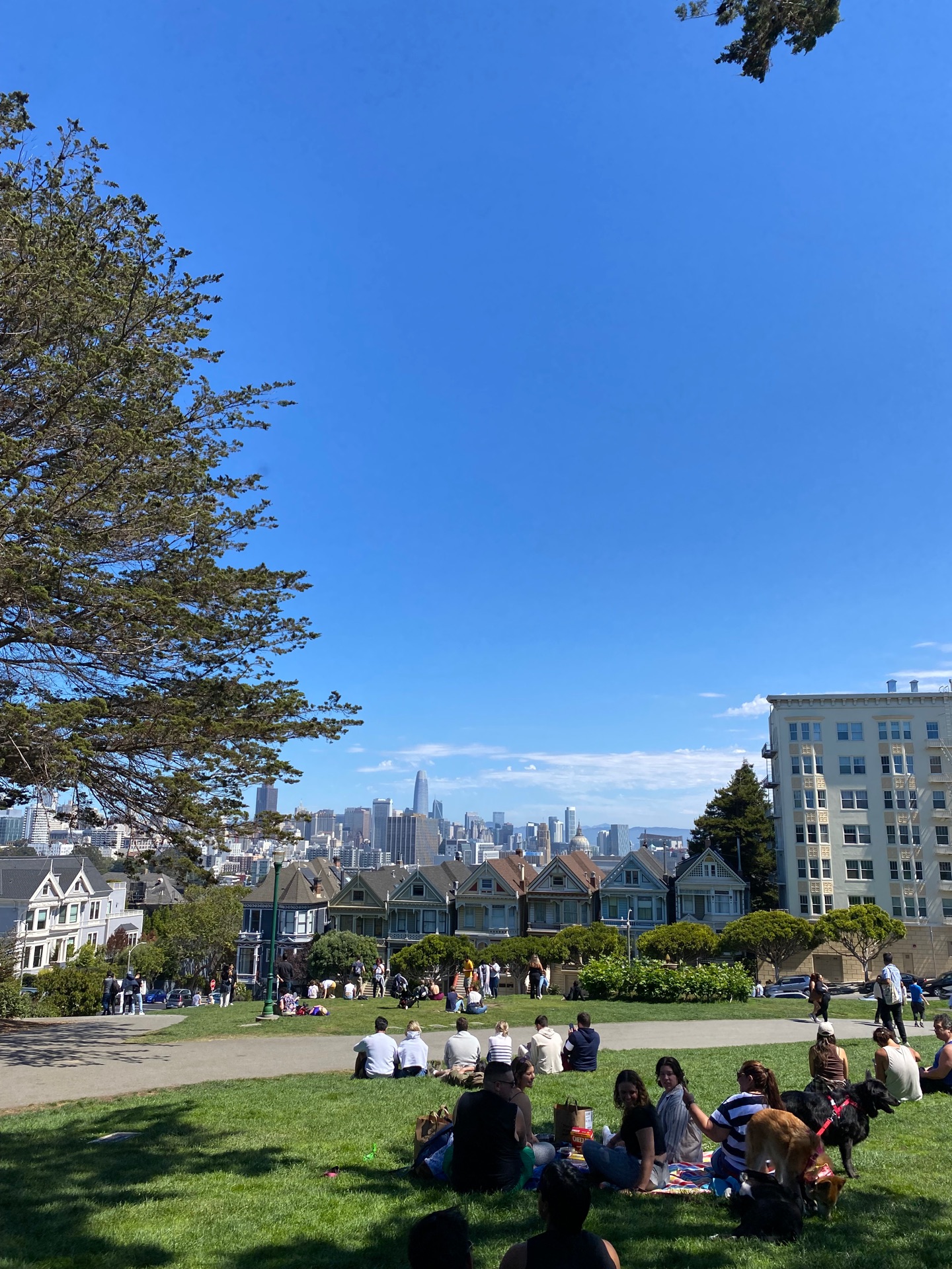 雨上がりのマジョール広場の片隅 Alamo Square - Alamo Square, San Francisco | Corner
