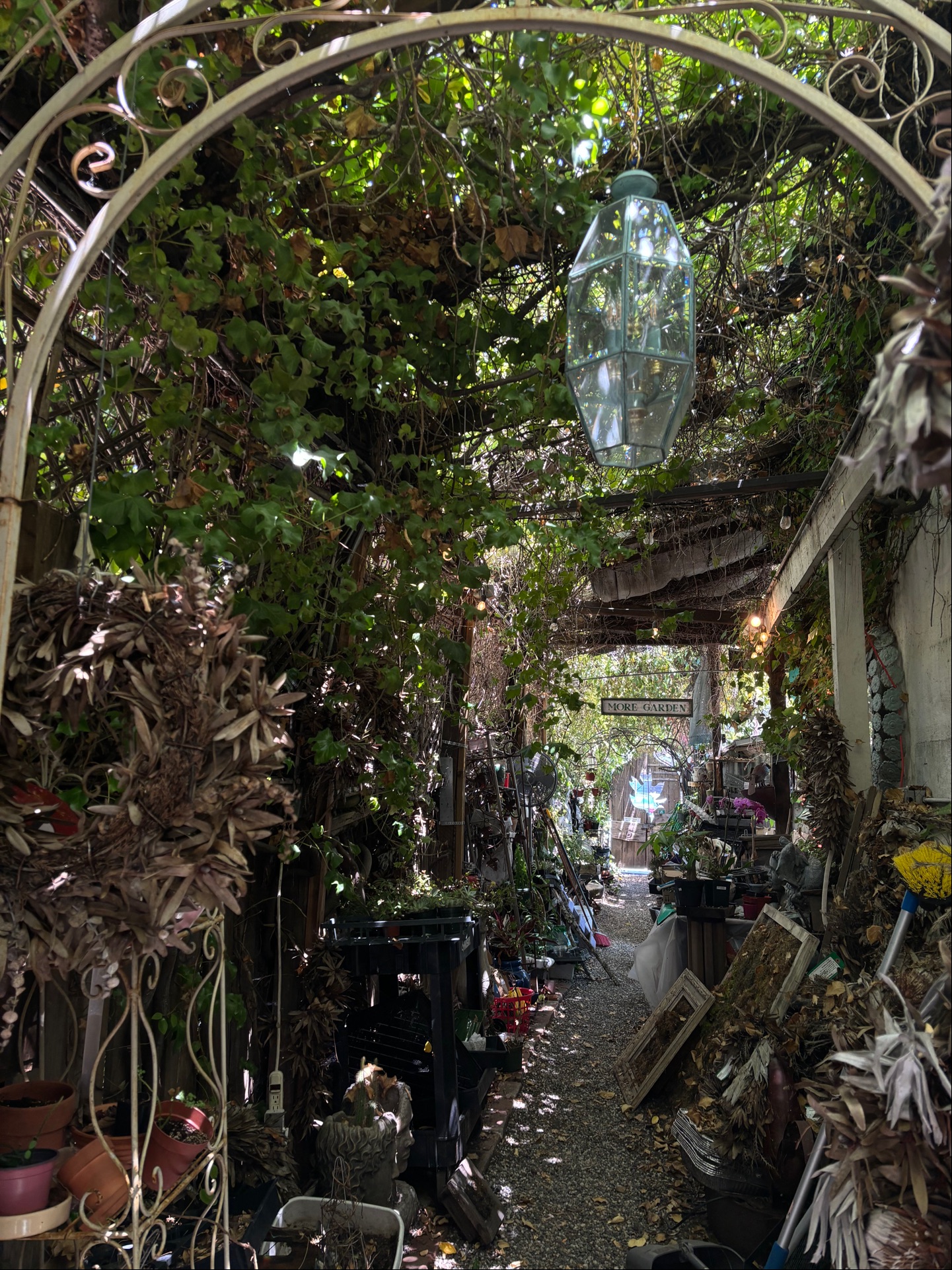 Natural Creations - 108 N Santa Cruz Ave A, Los Gatos | Corner