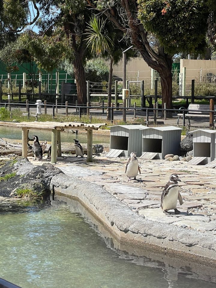San Francisco Zoo - Sloat Blvd &, Upper Great Hwy, San Francisco