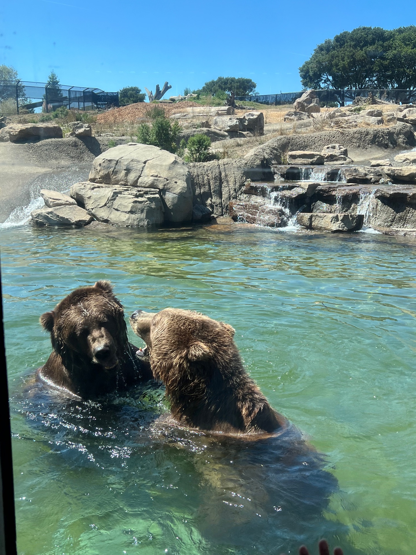San Francisco Zoo - Sloat Blvd &, Upper Great Hwy, San Francisco