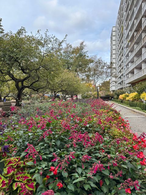 Sasaki Garden - Washington Square Village, New York | Corner