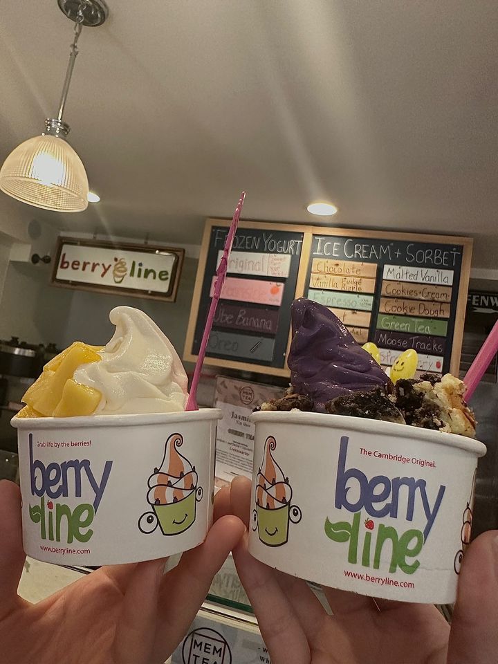 BerryLine - 3 Arrow St, Cambridge | Corner