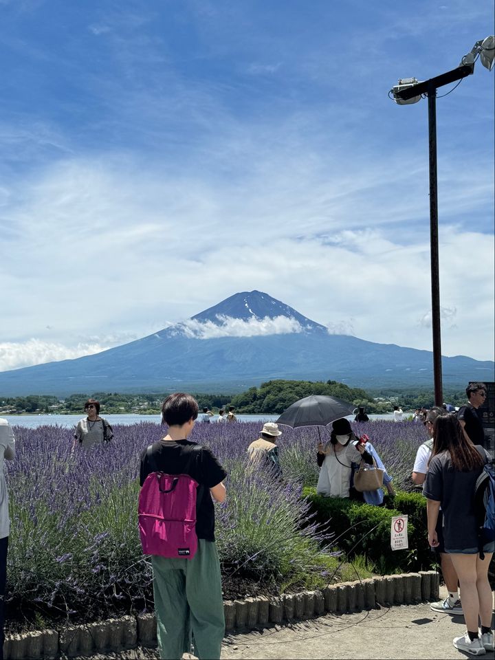 広場の市 Oishi Park - 2525番地の11先 Ōishi, Fujikawaguchiko | Corner