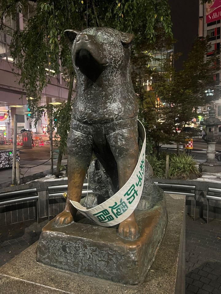 邦楽 SUMMER ROCKET / Gaming Hachiko SHIBUYA 邦楽 SUMMER ROCKET / Gaming Hachiko SHIBUYA Hachiko Statue - 2