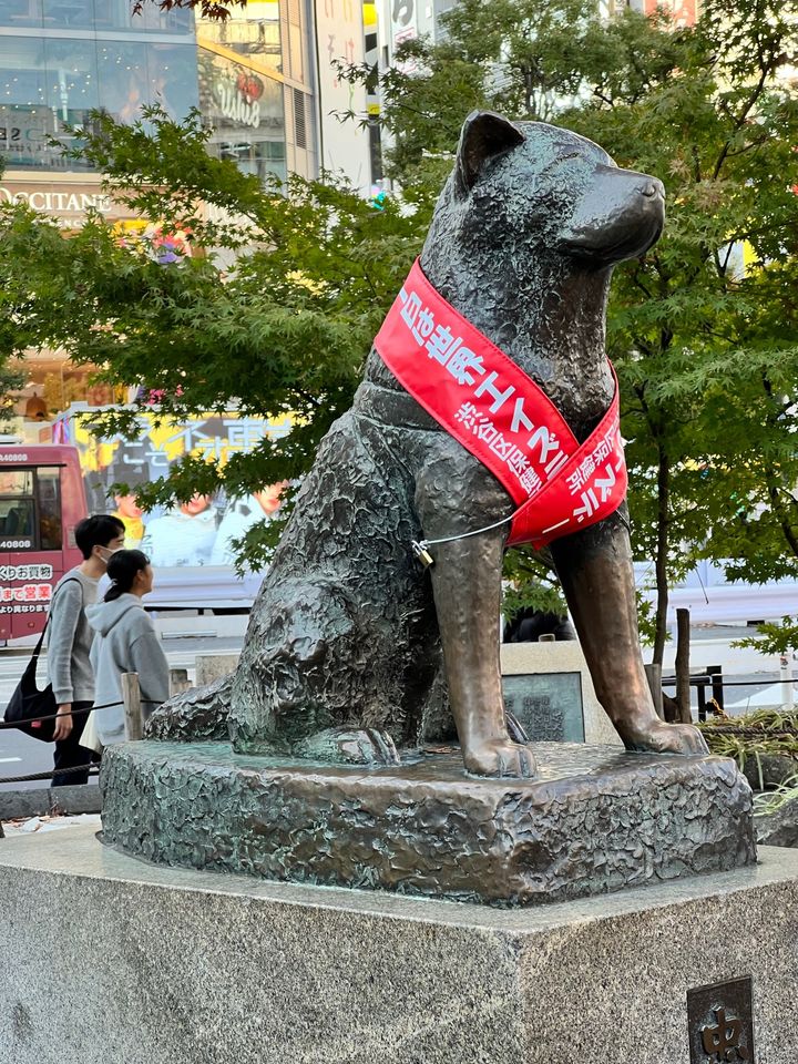 Hachiko Statue - 2-chōme-1 Dōgenzaka, Shibuya | Corner