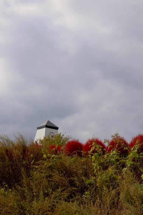 Oishi Park - 2525番地の11先 Ōishi, Fujikawaguchiko | Corner