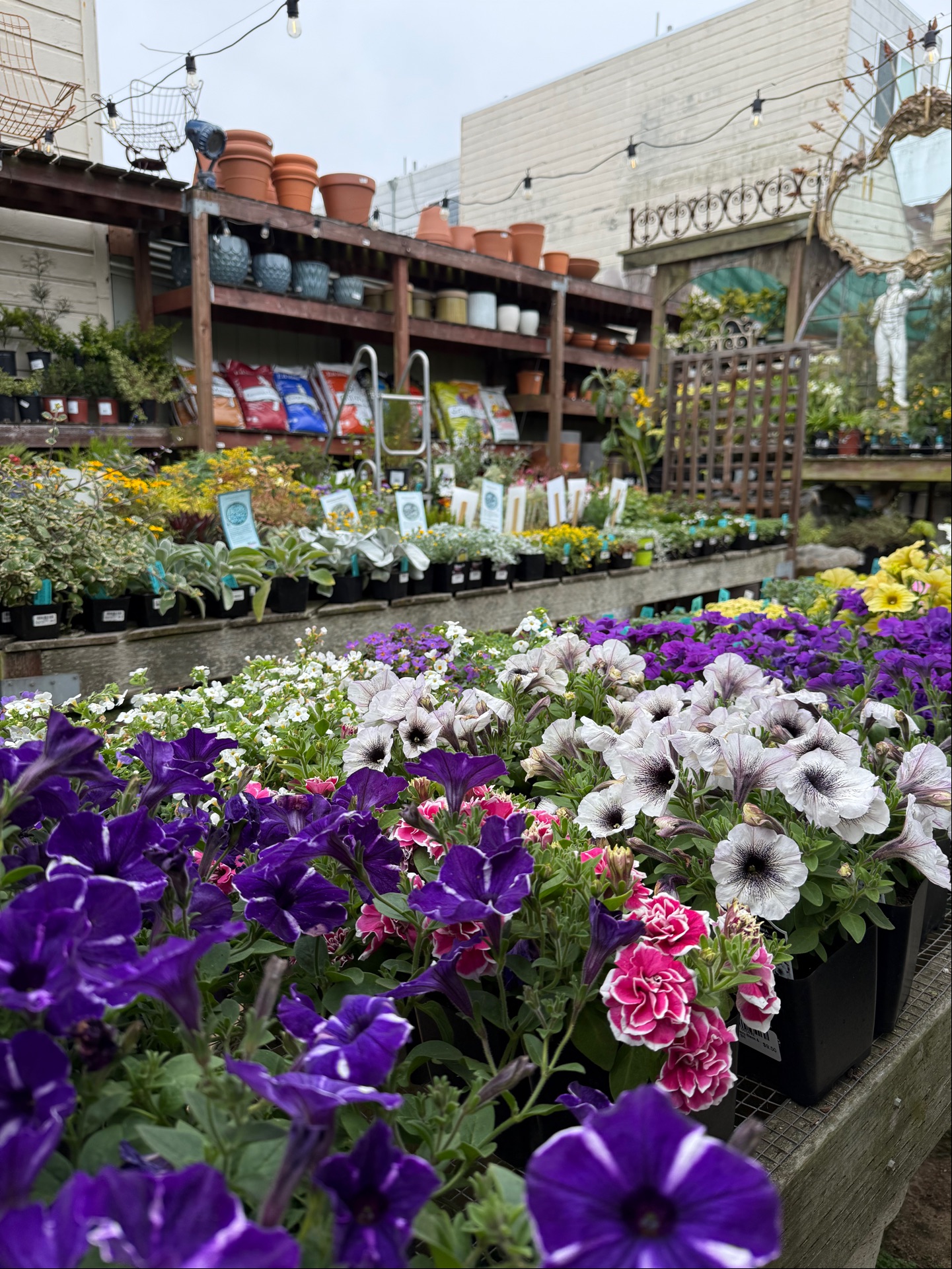 Clement Nursery - 1921 Clement St, San Francisco | Corner