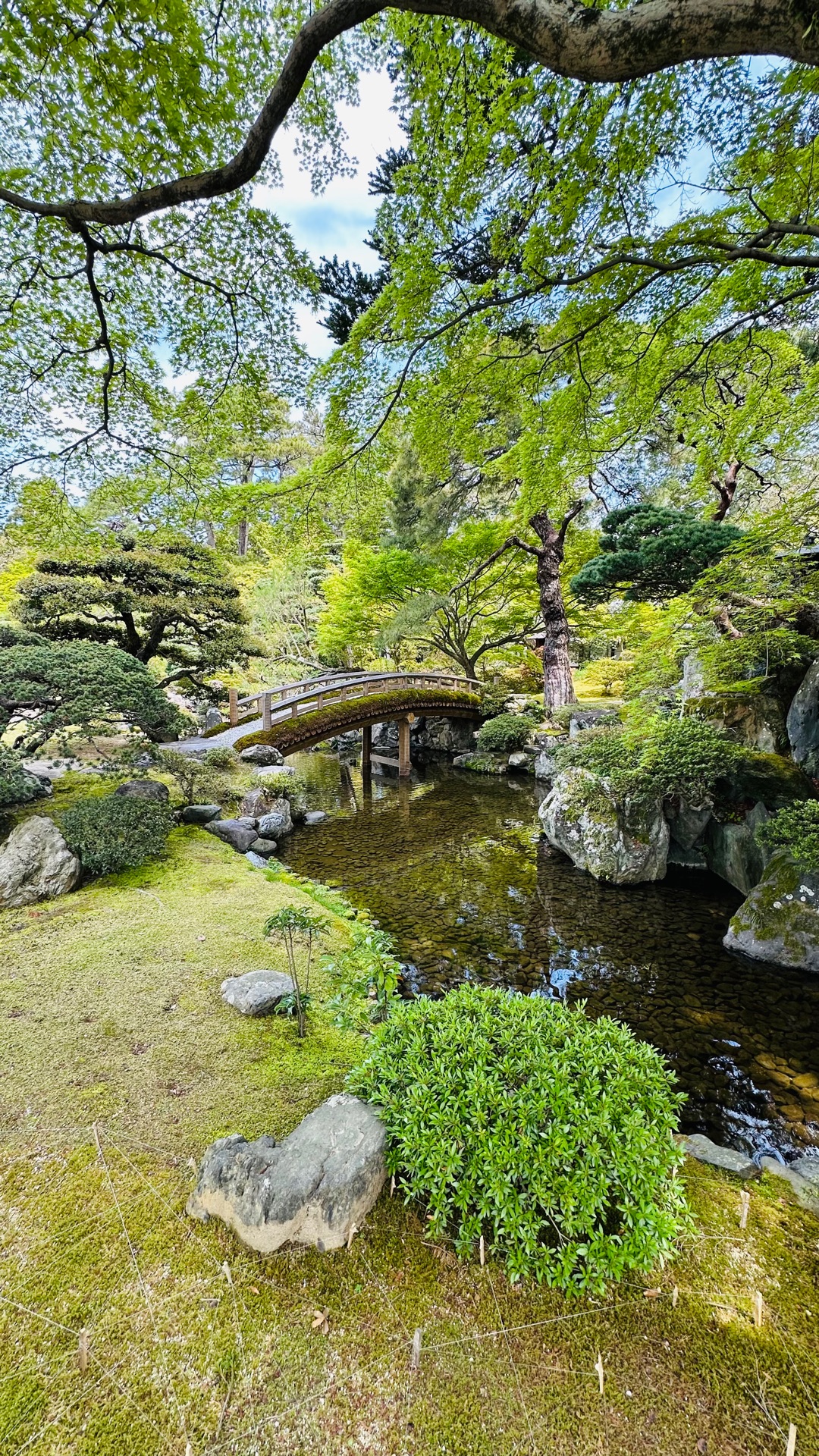Kyoto Sento Imperial Palace - Kyotogyoen, Kamigyo Ward, Kyoto | Corner