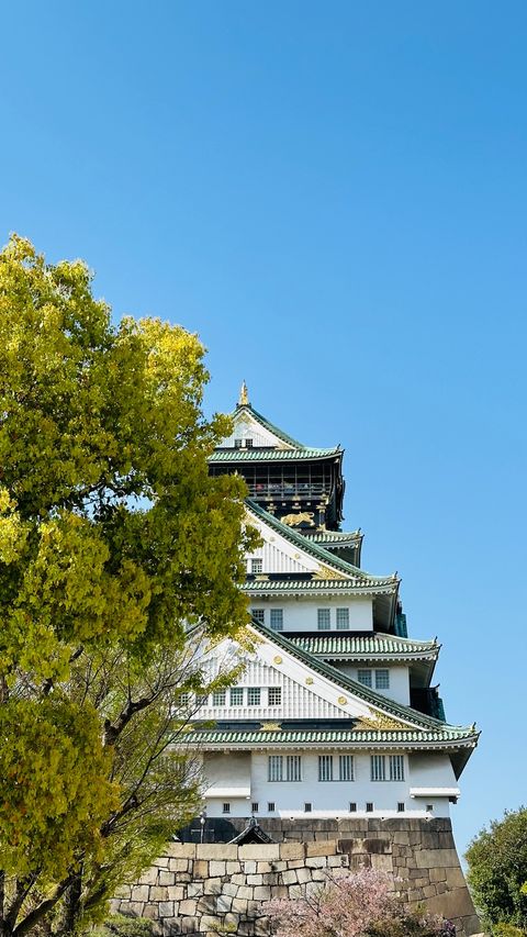 帝王の御殿 Ninomaru-goten Palace - Kyoto, Nakagyo Ward, Nijōjōchō, 541番地